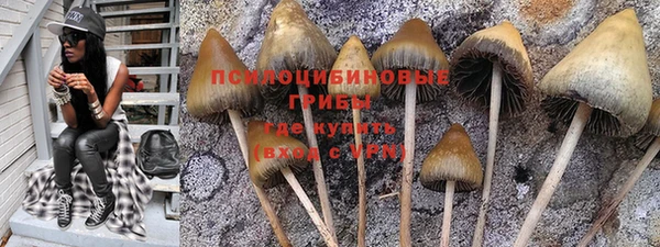 ECSTASY Гусиноозёрск