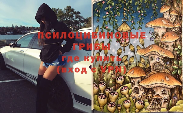 мдма Гусев