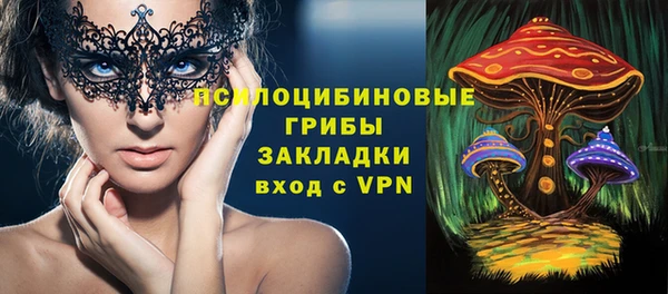 мдма Гусев