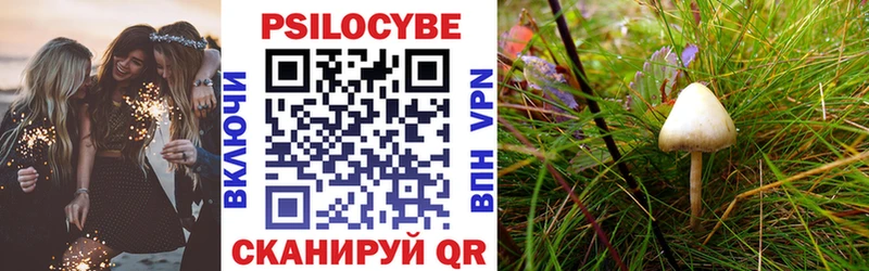 Галлюциногенные грибы Psilocybine cubensis  как найти   Славск 
