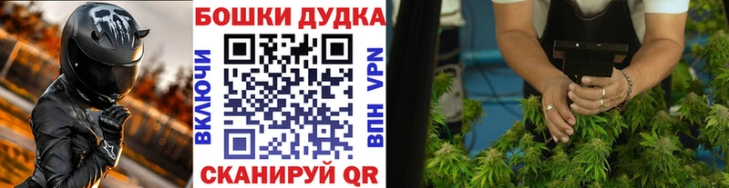 Канабис OG Kush  купить  сайты  kraken ссылки  Славск 